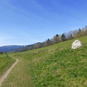 keschtnweg kastanienweg im fruehling feldthurns klausen