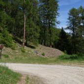 abzweigung stundenweg oberhalb von laatsch