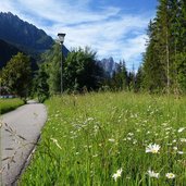 radweg suedlich von toblach richtung cortina