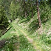 stundenweg im schliniger tal nordseite