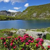 falkomaisee fr