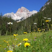 wiesen bei schluderbach und hohe gaisl