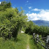 archaikweg bei prad am stilfserjoch