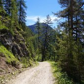 forststrasse weg mtb schluderbach nach plaetzwiese