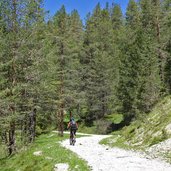 forststrasse weg mtb schluderbach nach plaetzwiese mtb