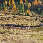 muehlbach im muehlbachtal herbst