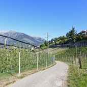 mitterplattweg schenna und radweg