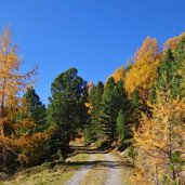 weg muehlbachtal herbst bei talschluss