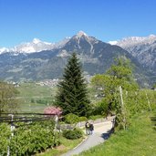 mitterplattweg schenna und radweg