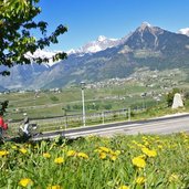 radfahrer bei schenna