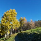 weg von milland nach mellaun und st andrae herbst