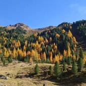 muehlbachtal bei unterwanger alm herbst