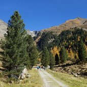 wanderer im muehlbachtal herbst