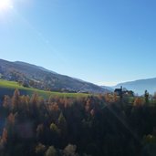 hebst in mellaun brixen herbstwald gegenlicht