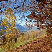 abstieg nach milland weg nr a herbst wald