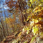 abstieg nach milland weg nr a herbst wald