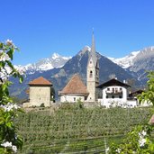 st georgen bei schenna apfelbluete