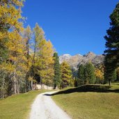 herbst muehlbachtal bei oberbacher alm