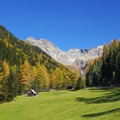 herbst muehlbachtal bei oberbacher alm