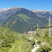 obstanlagen am schenner wiesenweg