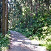 protzweg leifers breitenberg nach deutschnofen