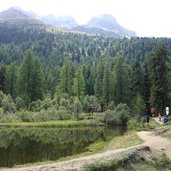 DSC Plimaschlucht Martell Weiher Froesche