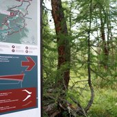 DSC Plimaschlucht Martell Infopoint Beschreibung Wanderweg