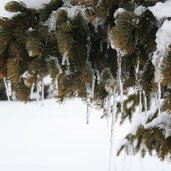 MCRastnerhuette Rodenecker Alm