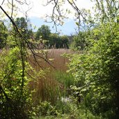 Vahrner See