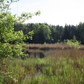 Vahrner See