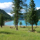 Nevessee Lappach Muehlwalder Tal DSC