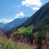 g unteres robachtal roetbachtal blick auf rotbachhoefe