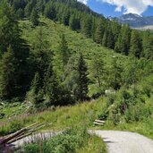 h bank am forstweg im rotbachtal