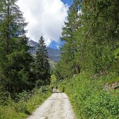 m forstweg rotbachtal unter daimeralm schoellbergalm