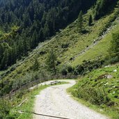 r forstweg rotbachtal unter daimeralm schoellbergalm