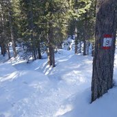 weg nr von kaiserstein zur moseralm