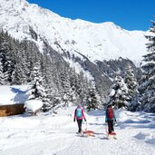 landschaft personen wandern schlitten rodel winter