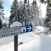 skigebiet wegweiser rosskopf umlaufbahn
