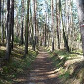 schabs doerferrunde richtung raas wald
