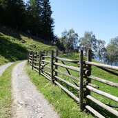 forstweg oberhalb von patsch inner noerdersberg