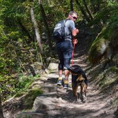 sunnseiten steig burgstall voeran person hund