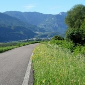 etsch radweg bei pfatten branzoll richtung auer