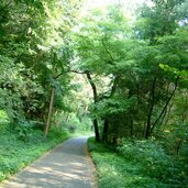 radweg bei pfatten