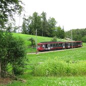 Plattner Bienenhof Museum Imkerei Rittner Bahn Bahnl