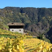 weinberge terlan moelten strasse