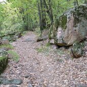 aufstieg von siebeneich nach greifenstein laubwald