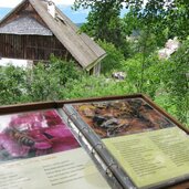 Plattner Bienenhof Museum Imkerei Hof