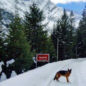 trafoi winter rodelweg