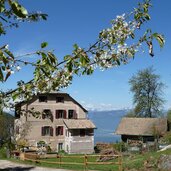 dreiviertelweg am wallfahrtsweg leifers weissenstein fruehling