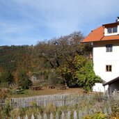 buschenschank kinig bei signat ritten herbst